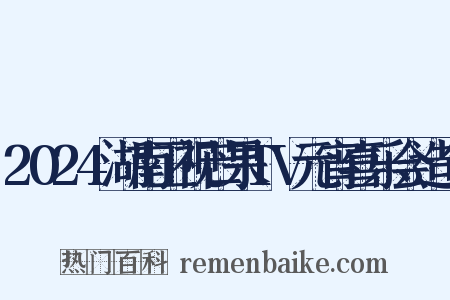 2024湖南卫视芒果TV元宵喜乐会造句是什么意思的图片